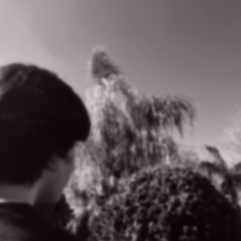 Makaio Huizar: The Teen Prodigy Blending Pop Sensibilities with Raw Emotion